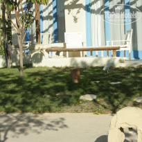 фото из отзыва ID 625948