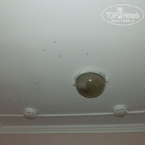 фото из отзыва ID 625111