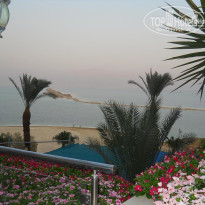 фото из отзыва ID 626393