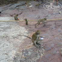 фото из отзыва ID 626571