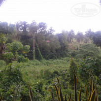 фото из отзыва ID 626670