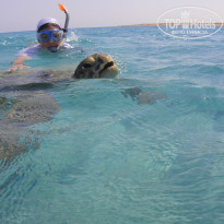 фото из отзыва ID 626812