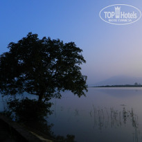 фото из отзыва ID 626900