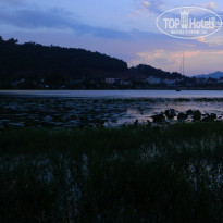 фото из отзыва ID 626900