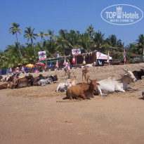 фото из отзыва ID 627080