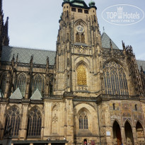 фото из отзыва ID 627101