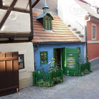 фото из отзыва ID 627101