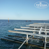 фото из отзыва ID 627706