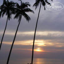 фото из отзыва ID 627811