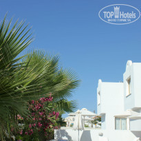 фото из отзыва ID 628106