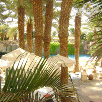 фото из отзыва ID 628612