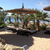 фото из отзыва ID 628858