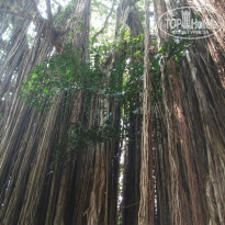 фото из отзыва ID 628983