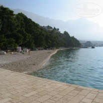 фото из отзыва ID 62996