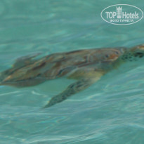 фото из отзыва ID 629426