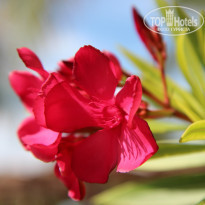 фото из отзыва ID 629426