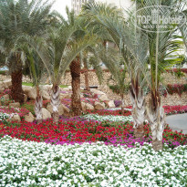 фото из отзыва ID 629068