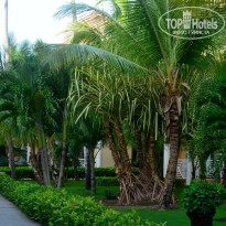 фото из отзыва ID 629078