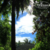 фото из отзыва ID 629434