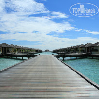 фото из отзыва ID 629434