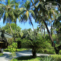 фото из отзыва ID 629434