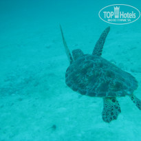 фото из отзыва ID 629434