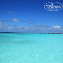 фото из отзыва ID 629434