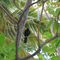 фото из отзыва ID 629434