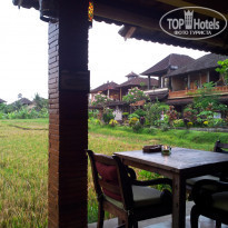 фото из отзыва ID 629484