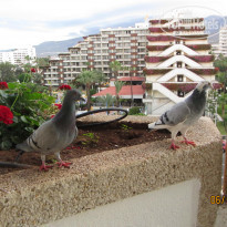 фото из отзыва ID 629748