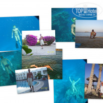 фото из отзыва ID 629755