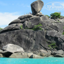 фото из отзыва ID 629841