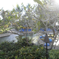 фото из отзыва ID 629900