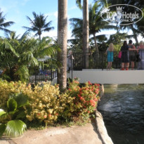 фото из отзыва ID 629900