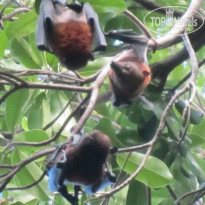 фото из отзыва ID 629841