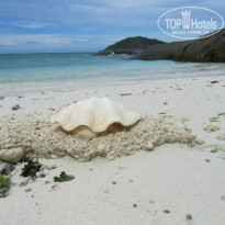 фото из отзыва ID 629841