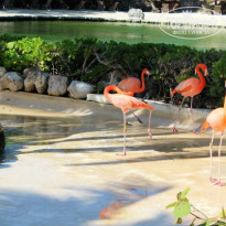 фото из отзыва ID 630266