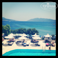 фото из отзыва ID 630381