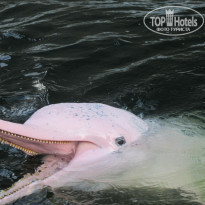 фото из отзыва ID 630517