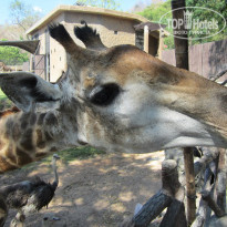 фото из отзыва ID 630517