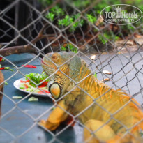 фото из отзыва ID 630980