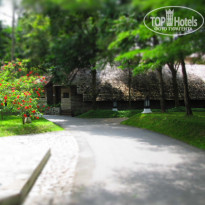 фото из отзыва ID 630984