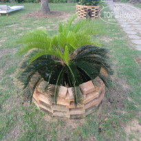 фото из отзыва ID 630255