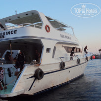 фото из отзыва ID 631034