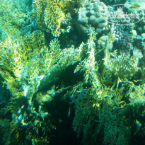 фото из отзыва ID 631196