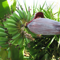 фото из отзыва ID 631276