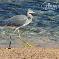 фото из отзыва ID 631307