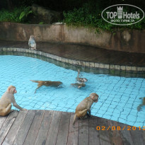 фото из отзыва ID 631510