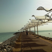 фото из отзыва ID 631613