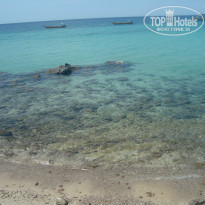 фото из отзыва ID 631832